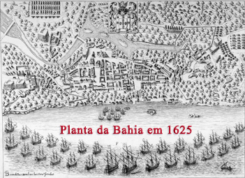 Planta Bahia